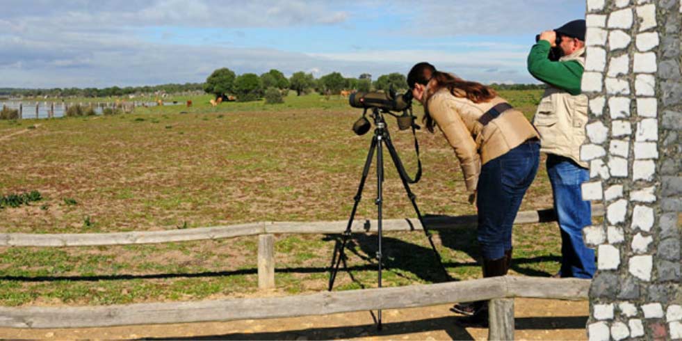 Parque Natural Doñana